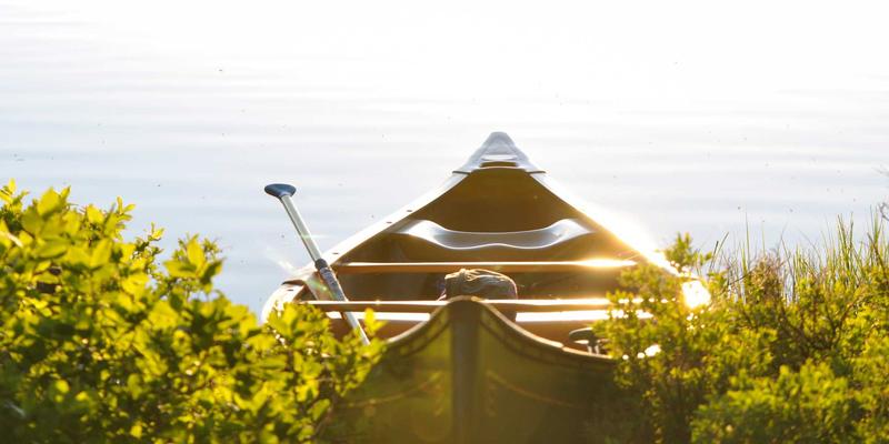 智享财富，触手可及——温州建设银行理财与电子银行服务全解析