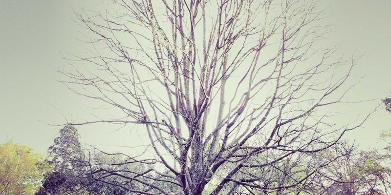 温州建行小微企业普惠金融贷款全解析：专业金融服务助力企业稳健理财