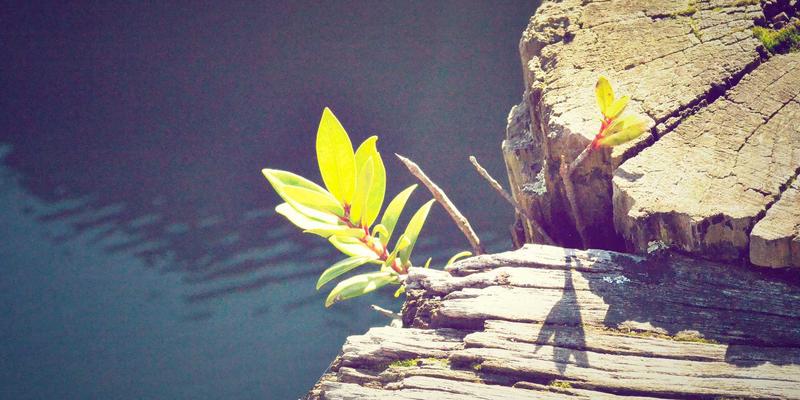 温州建行绿色信贷政策深度解读：如何通过银行理财与金融服务助推新能源与环保产业