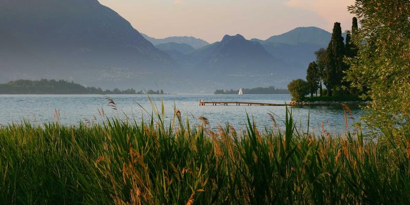 温州建设银行44：数字化转型下的银行业务新生态与电子银行服务升级