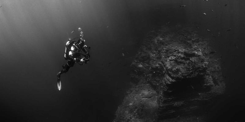 温州建设银行81：理财、电子银行与储蓄服务的智慧新体验