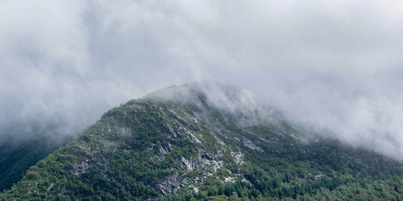 温州建设银行个人住房贷款申请条件与最新利率详解：理财规划与电子银行便捷操作指南
