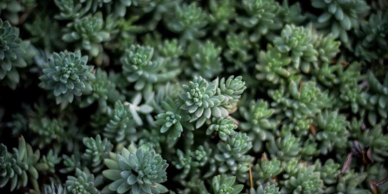 温州建设银行信用卡高端权益全解析：电子银行时代如何玩转白金卡贵宾厅、健康体检与积分兑换