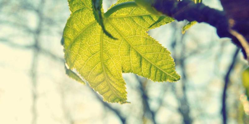 温州建设银行全方位使用指南：储蓄业务办理与本地化服务详解