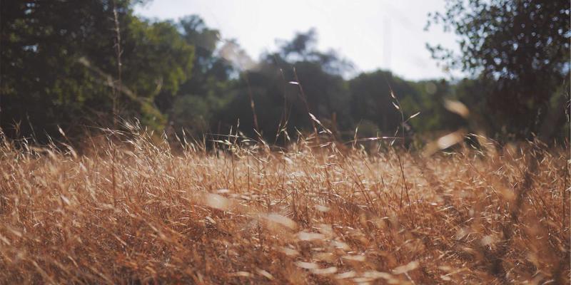 温州建设银行“创业者港湾”全解析：一站式解决初创企业融资与理财难题