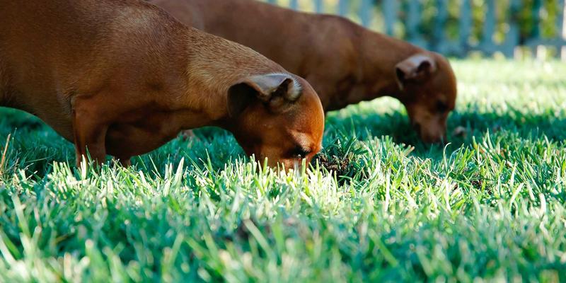温州建设银行小微企业信用贷款深度评测：三步快速解决经营周转资金难题