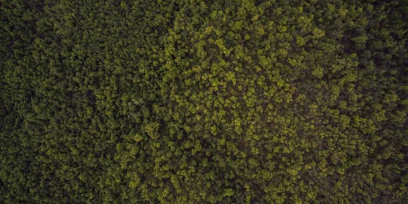 温州建设银行：数字化金融服务新标杆，助力企业与个人贷款无忧