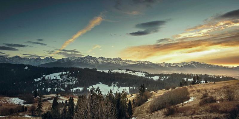 温州建设银行：深耕本土的金融伙伴，助您实现储蓄与理财的双重目标