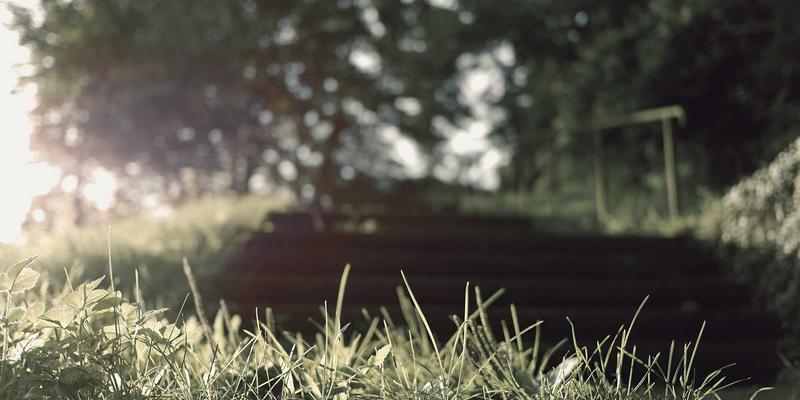 温州建设银行留学金融一站式解决方案：从存款证明到留学贷款的全方位指南