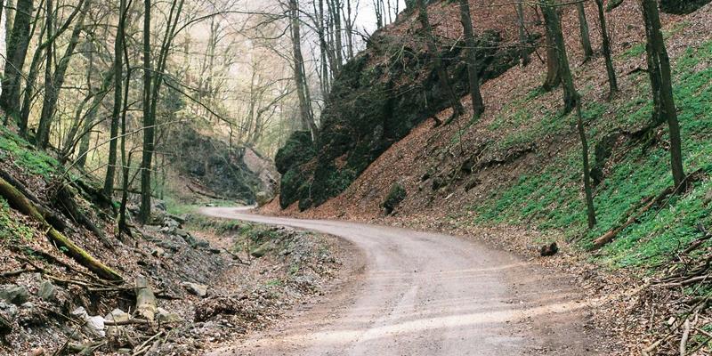 温州建设银行贷款必读：个人征信报告查询与异议处理全流程指南